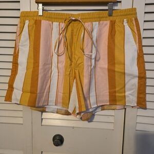 Express Linen Blend Striped Shorts